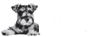 Logo for Maddie's Fund